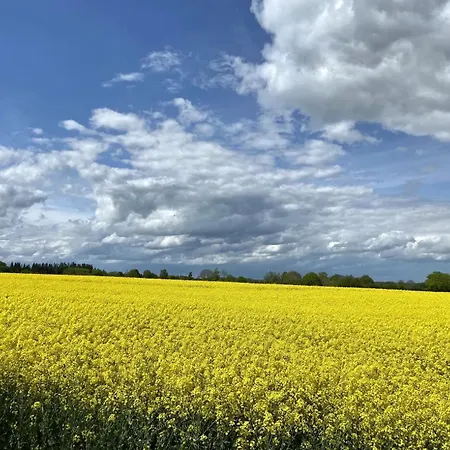 An Der Schlei Oben Appartamento